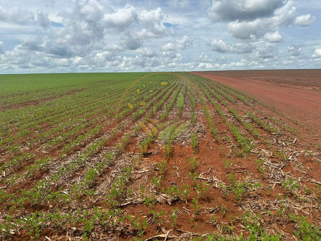 Fazenda, 1 quarto - Foto 4