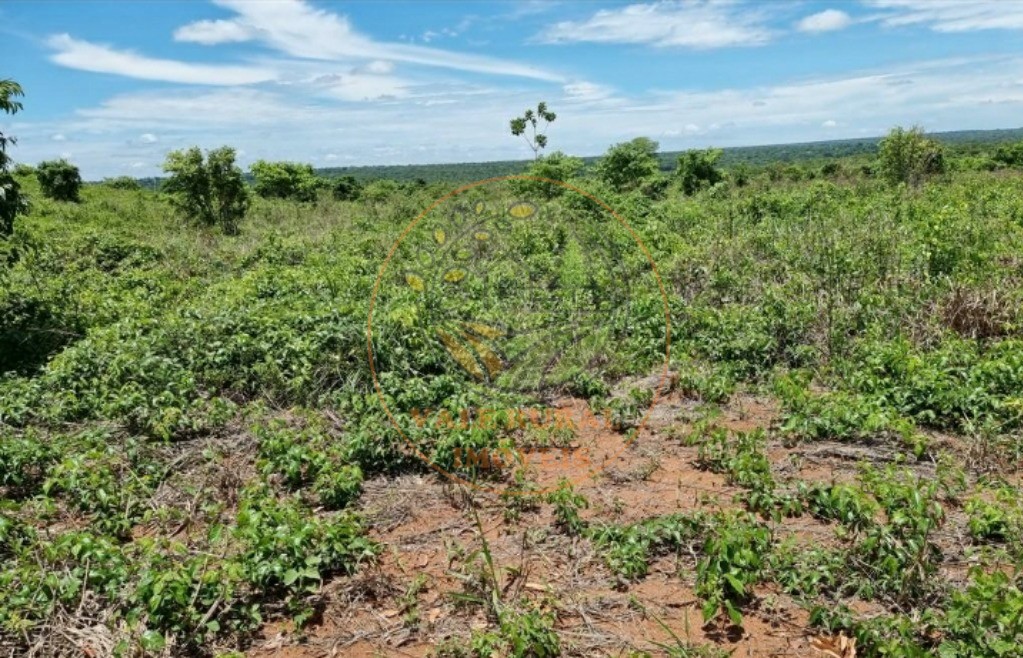 Fazenda - Foto 6
