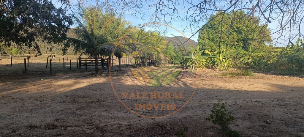 Fazenda, 3 quartos - Foto 14