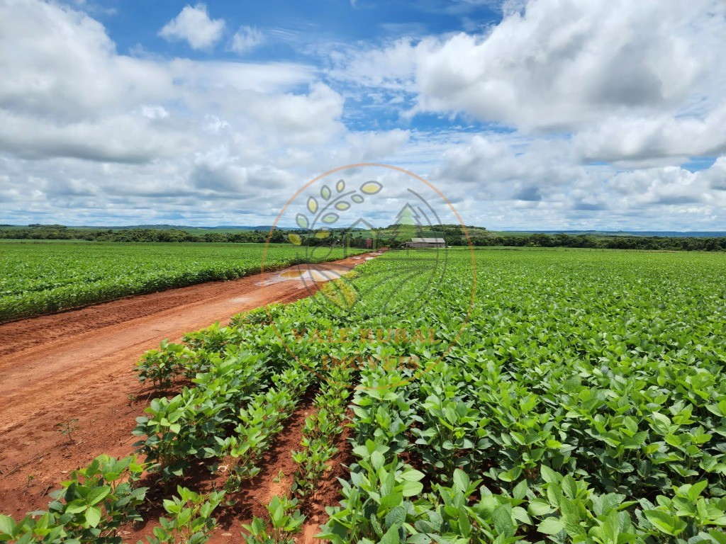 Fazenda, 1 quarto - Foto 1
