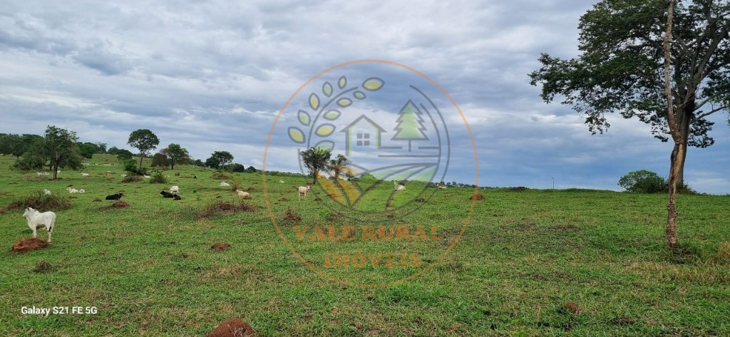 Fazenda, 1 quarto - Foto 5