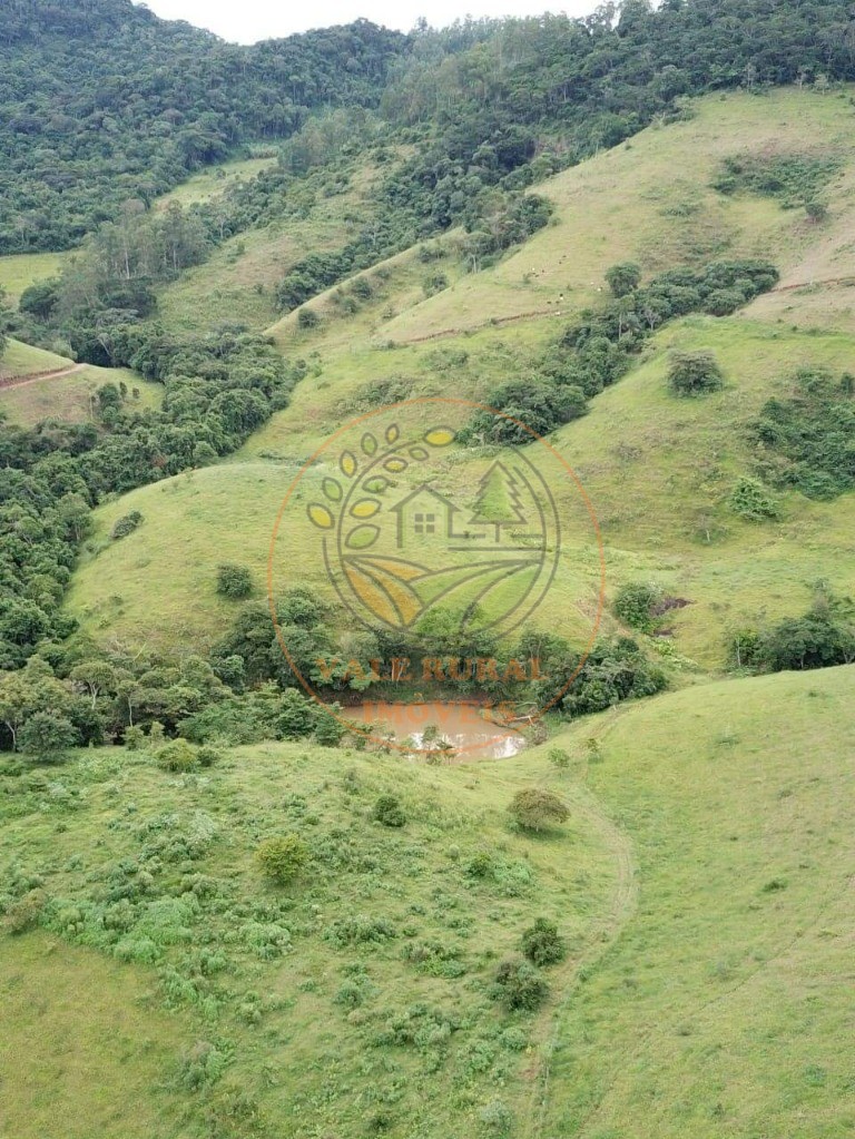 Fazenda - Foto 13