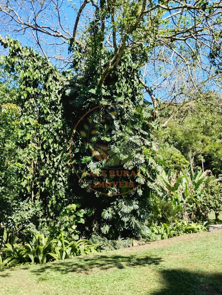 Chácara, 3 quartos - Foto 21