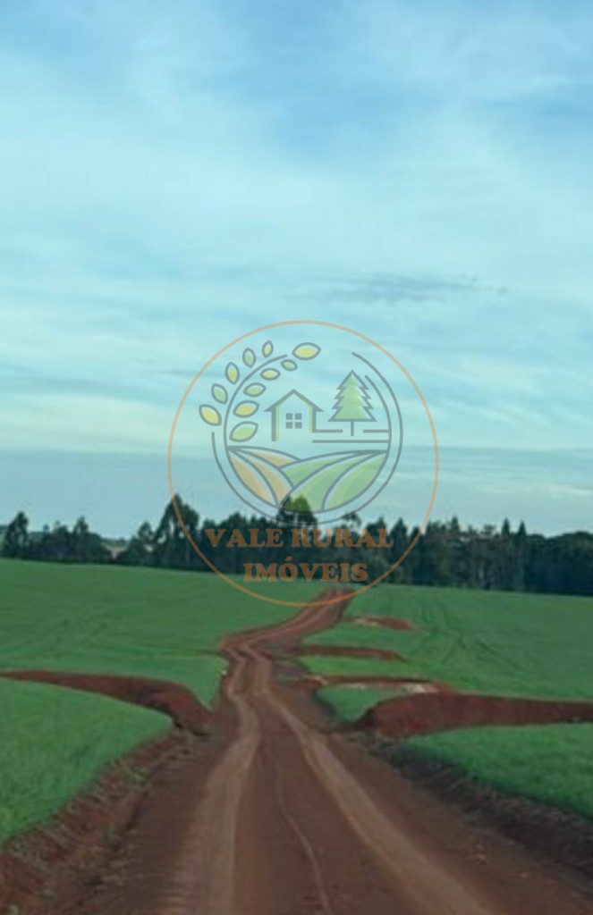 Fazenda - Foto 5