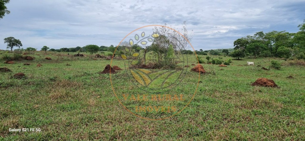 Fazenda, 1 quarto - Foto 3