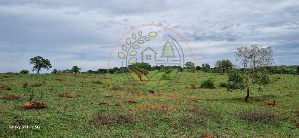 Fazenda, 1 quarto - Foto 6