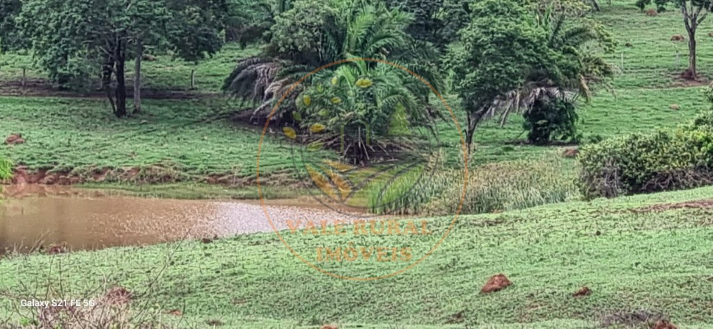 Fazenda, 1 quarto - Foto 10