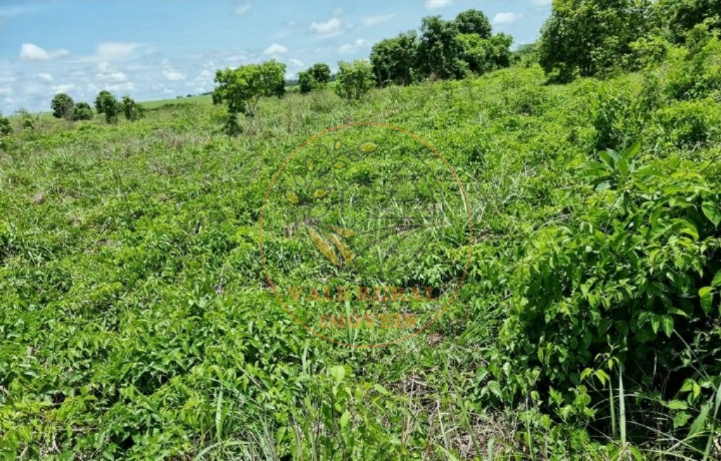 Fazenda - Foto 7
