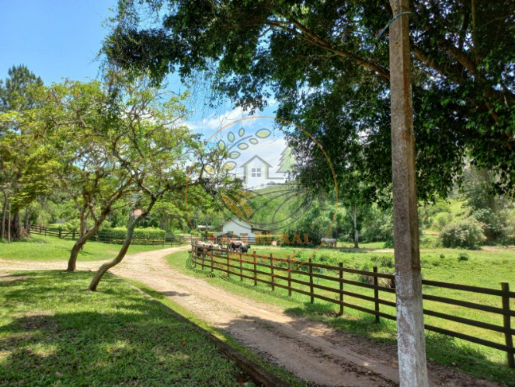 Fazenda - Foto 13