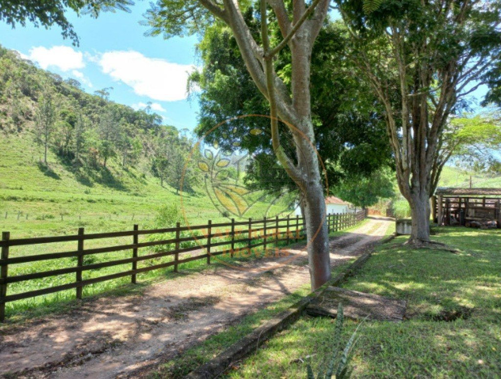 Fazenda - Foto 14