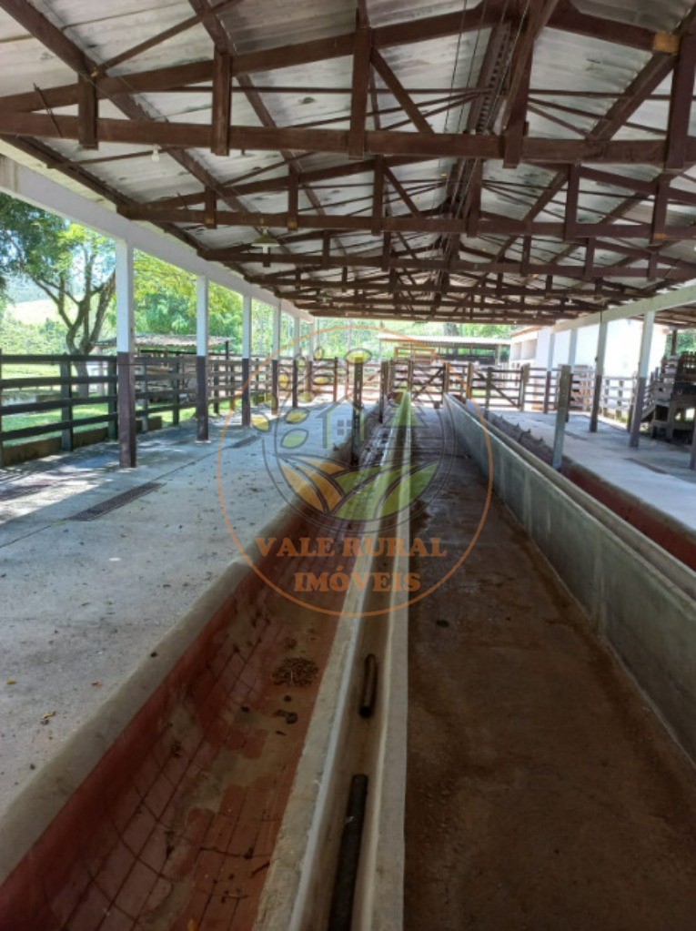 Fazenda - Foto 10