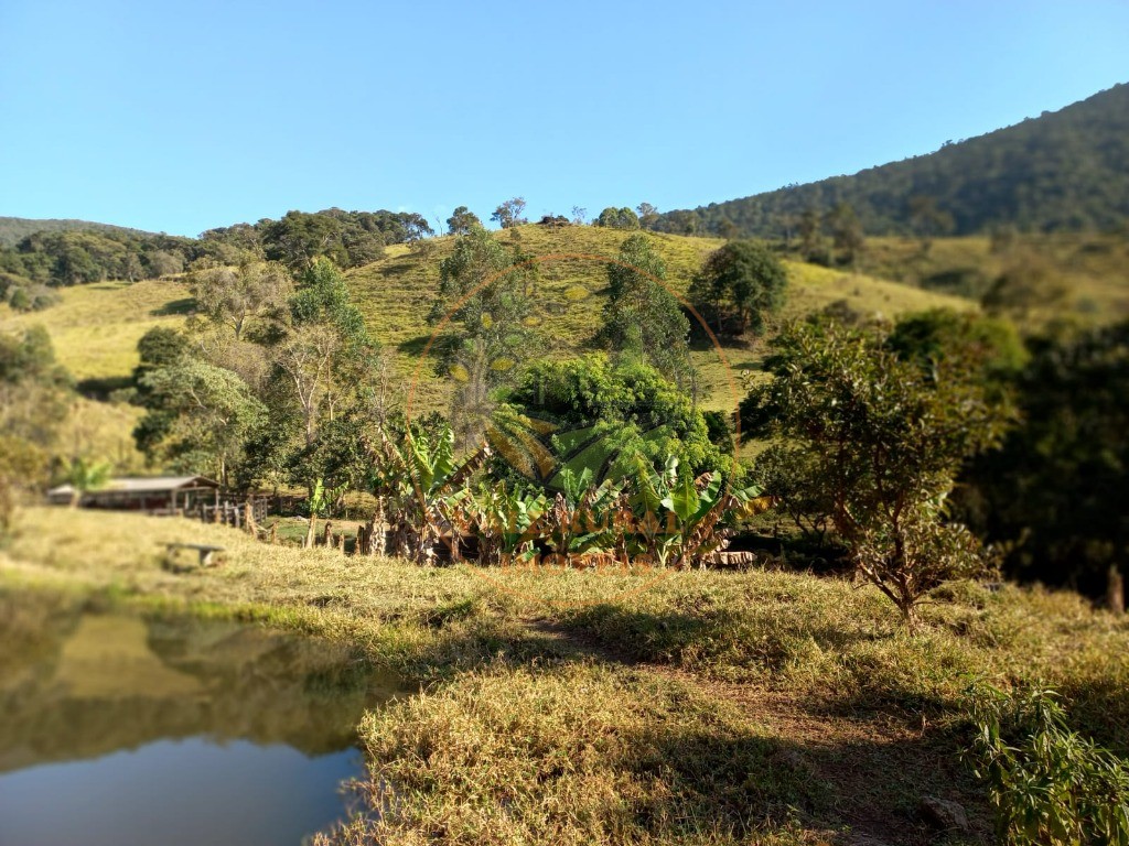 Fazenda, 2 quartos - Foto 7