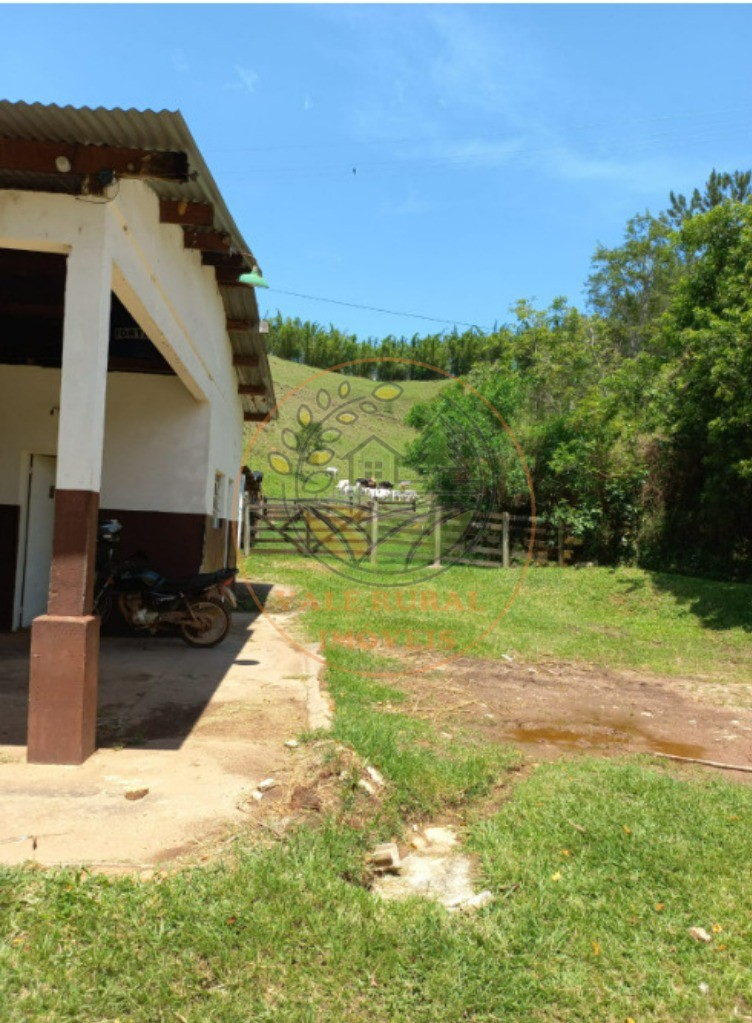 Fazenda - Foto 15