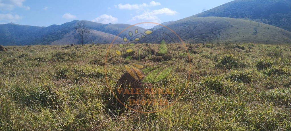 Fazenda - Foto 4