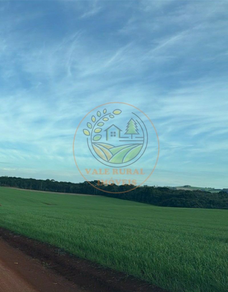 Fazenda - Foto 6