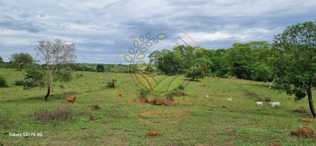Fazenda, 1 quarto - Foto 7