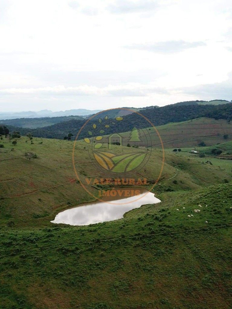Fazenda - Foto 8