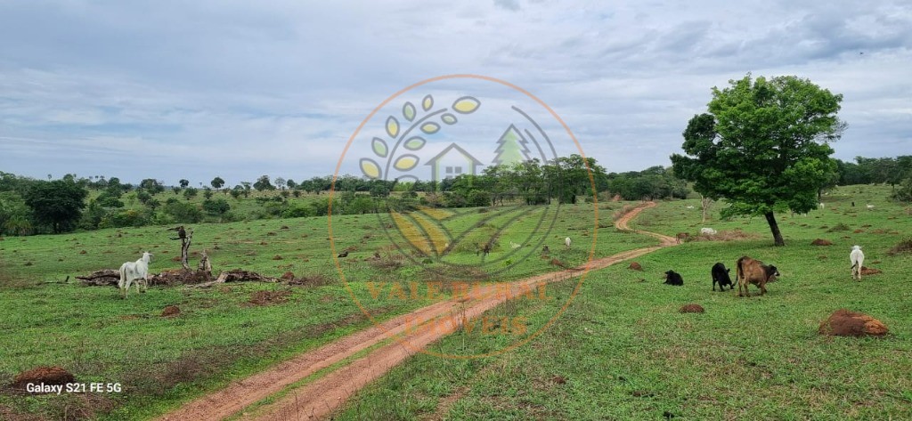 Fazenda, 1 quarto - Foto 13