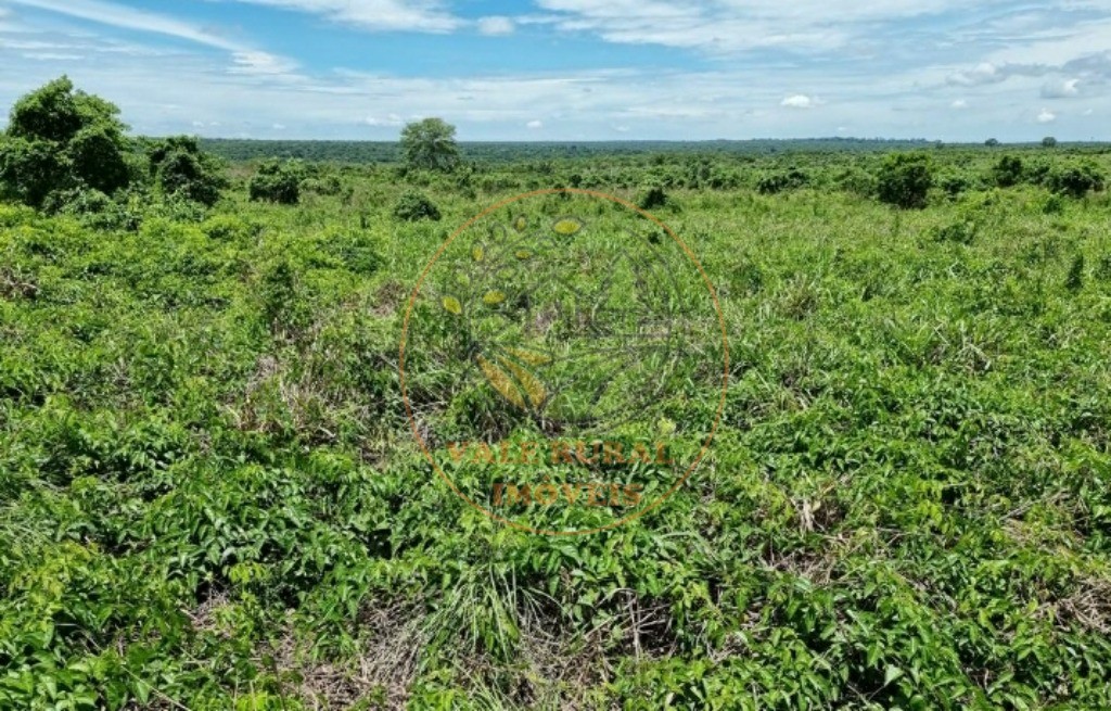 Fazenda - Foto 3