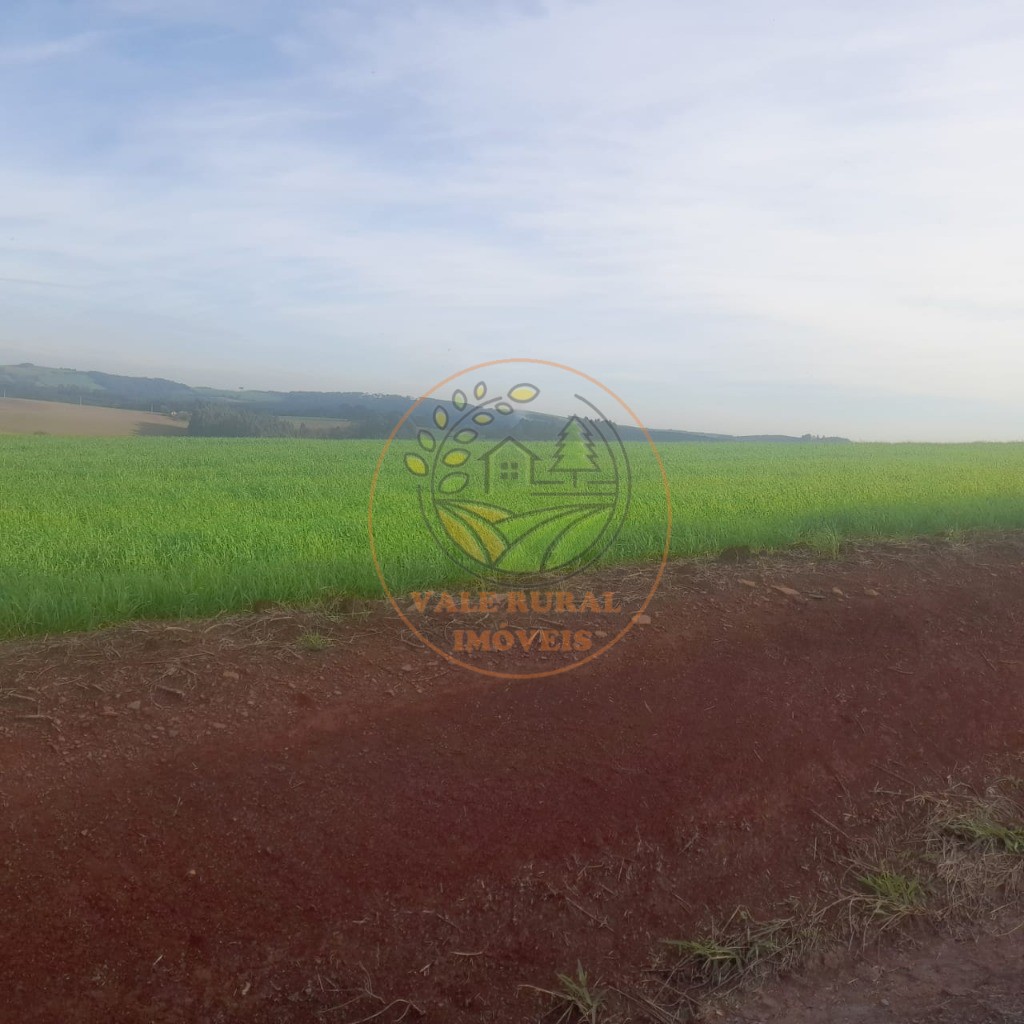 Fazenda - Foto 4