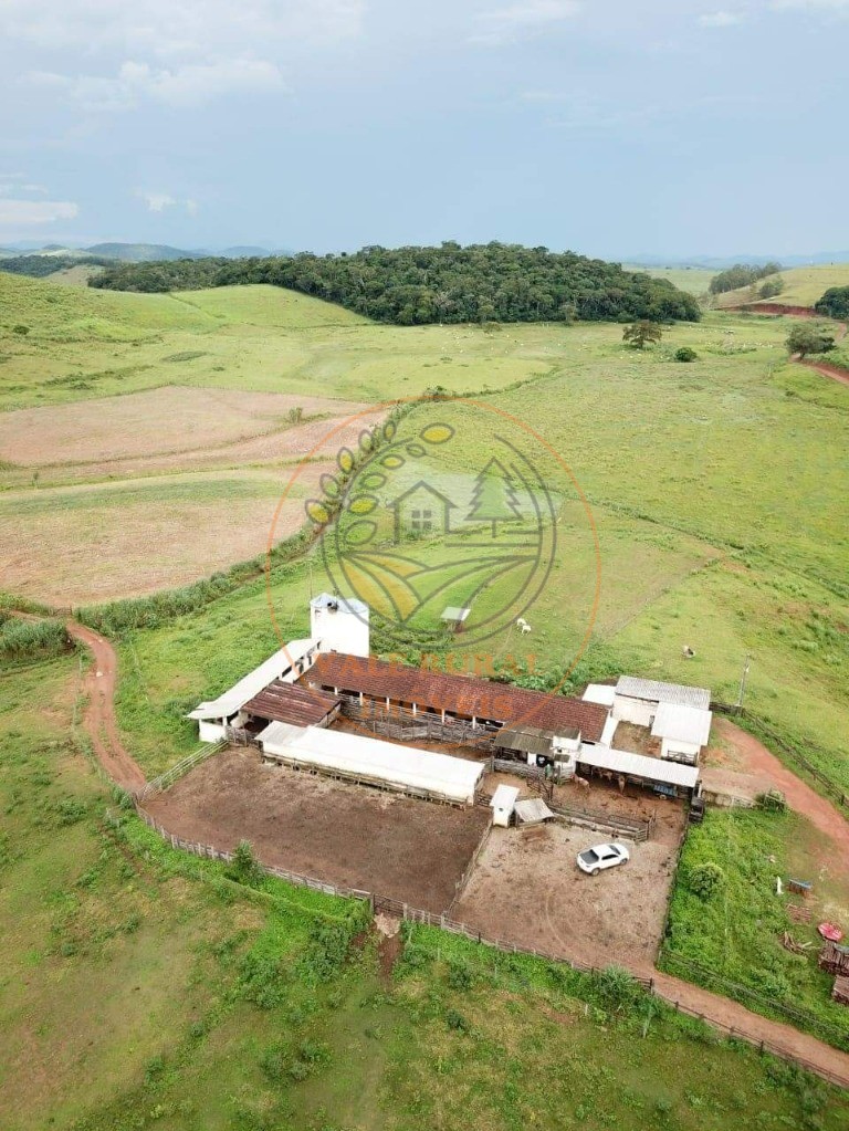 Fazenda - Foto 6