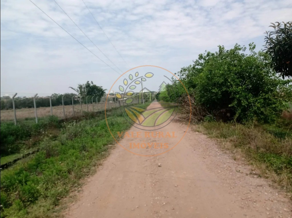 Fazenda - Foto 2
