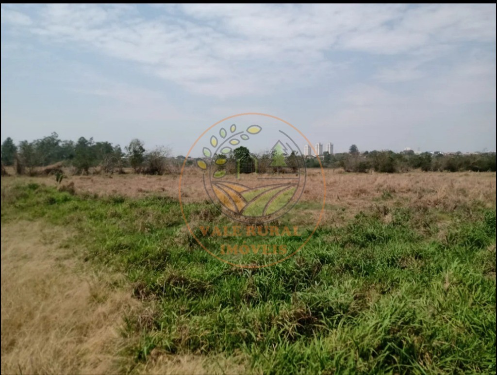 Fazenda - Foto 12