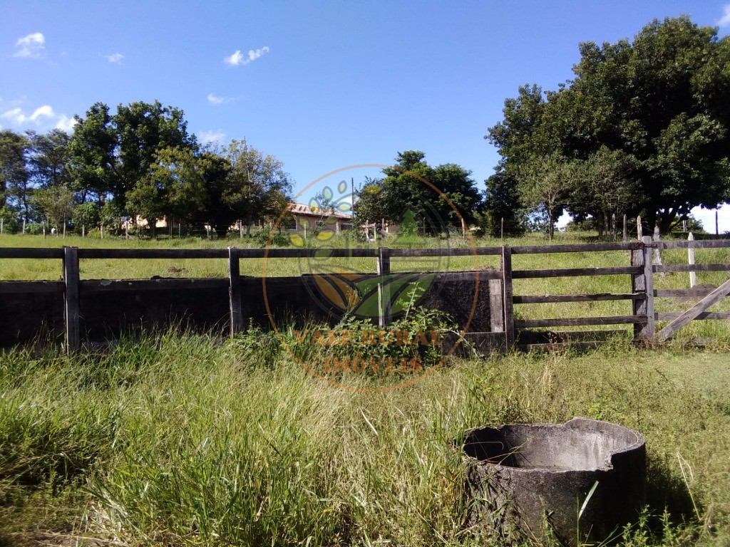 Sítio, 4 quartos - Foto 41