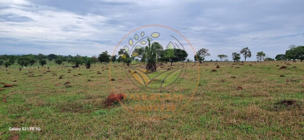 Fazenda, 1 quarto - Foto 15