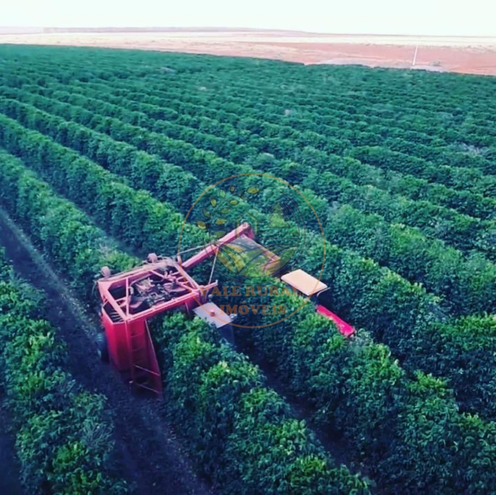 Fazenda, 1 quarto - Foto 6