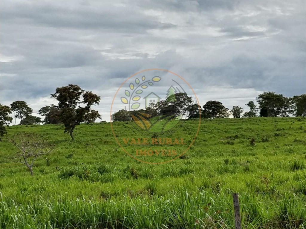 Fazenda, 2 quartos - Foto 11