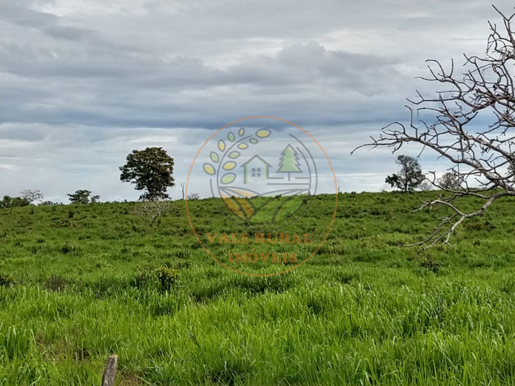 Fazenda, 2 quartos - Foto 16