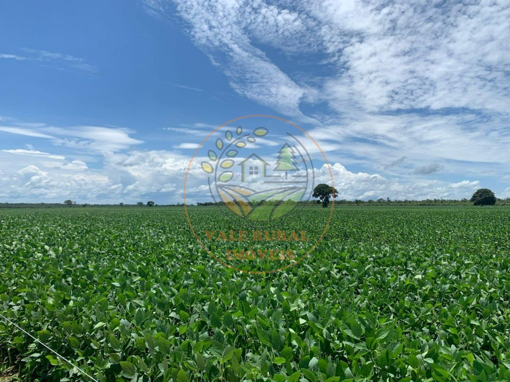 Fazenda, 2 quartos - Foto 2