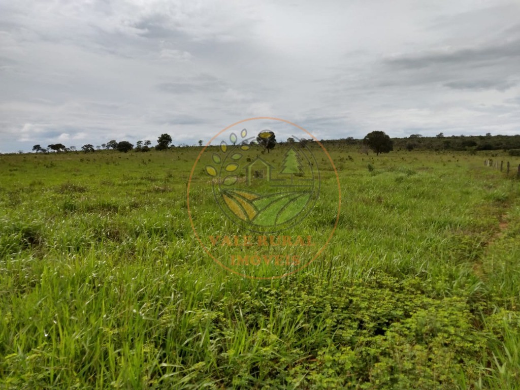 Fazenda, 2 quartos - Foto 24
