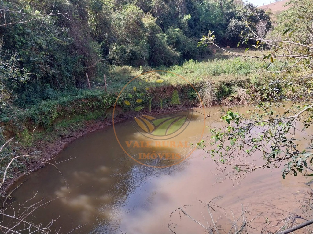 Fazenda - Foto 4