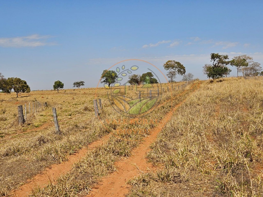 Fazenda, 2 quartos - Foto 5