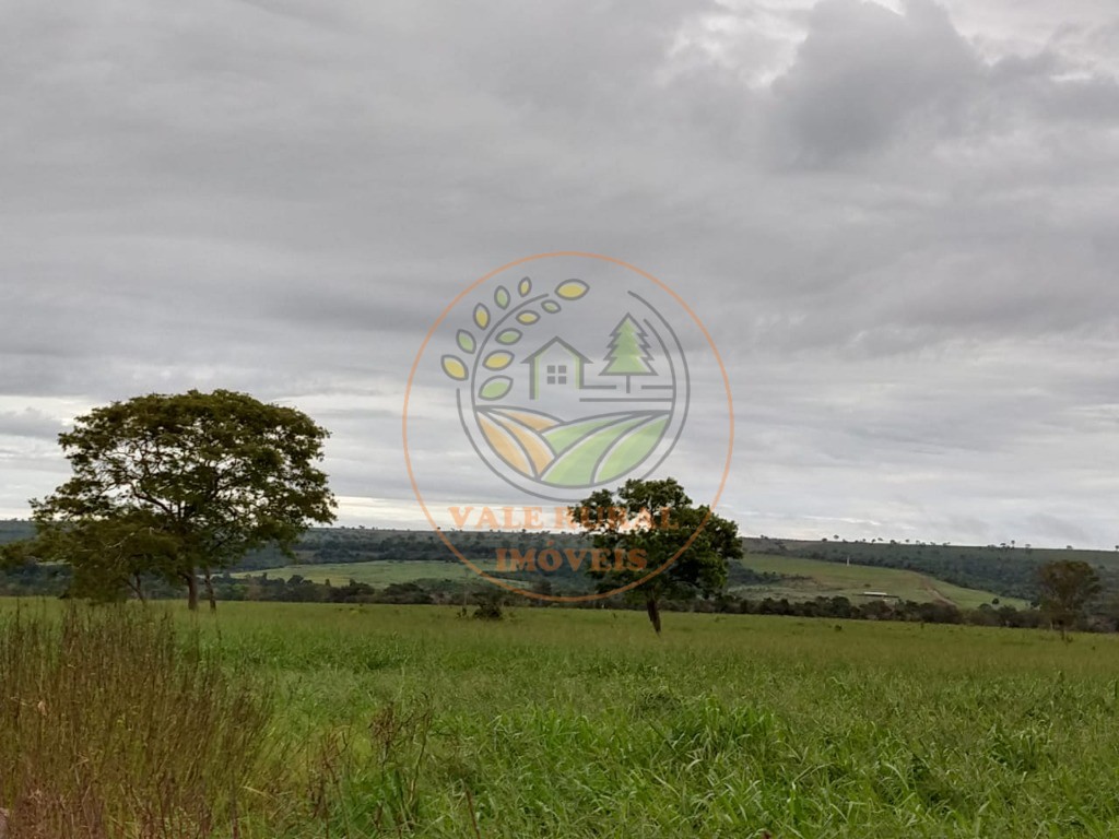 Fazenda, 2 quartos - Foto 12