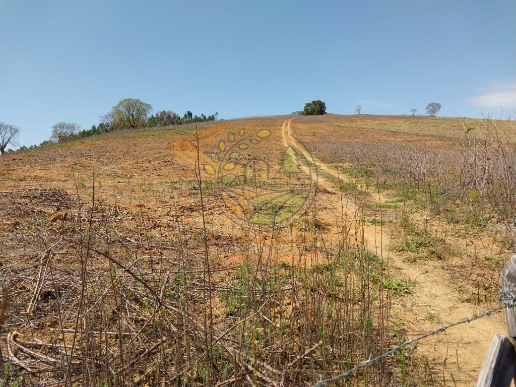 Fazenda - Foto 24