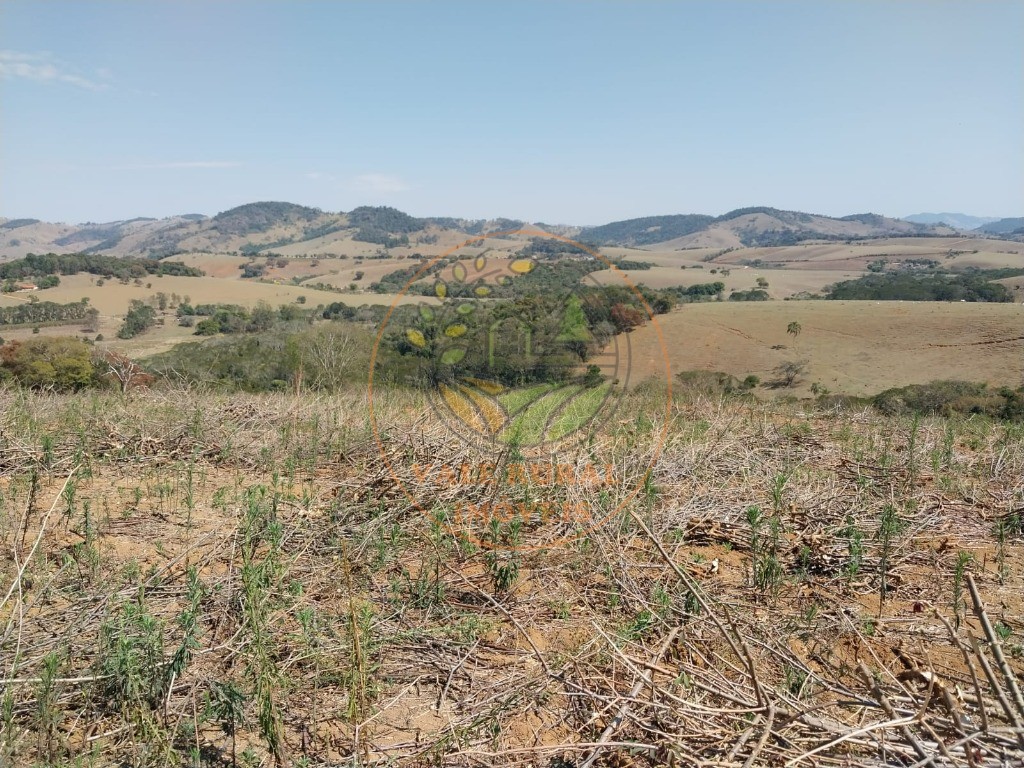 Fazenda - Foto 25