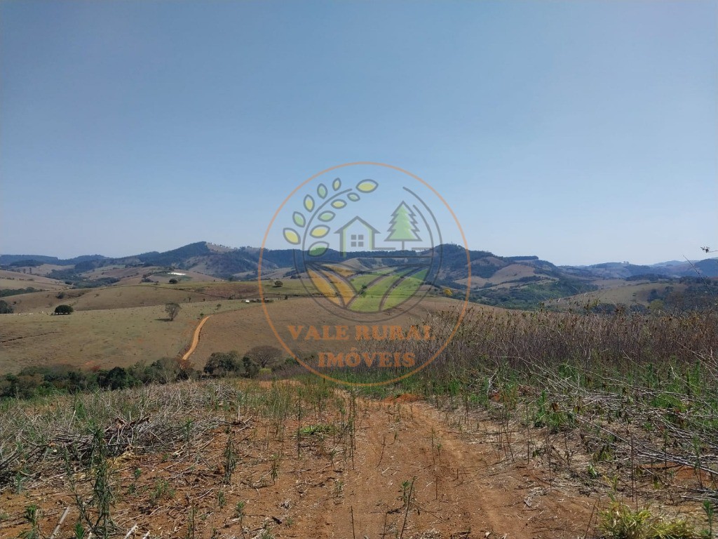 Fazenda - Foto 6