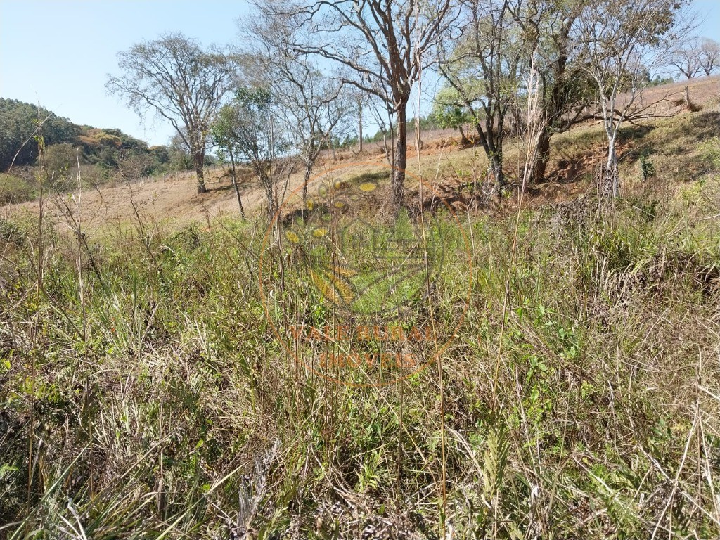 Fazenda - Foto 22