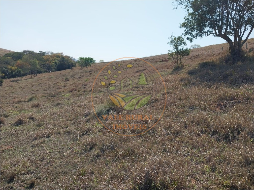 Fazenda - Foto 13