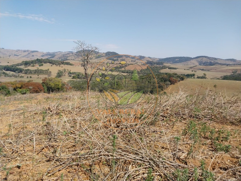 Fazenda - Foto 11