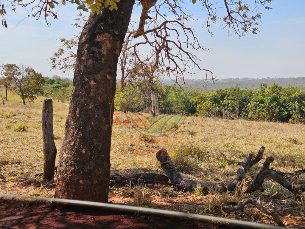 Fazenda, 2 quartos - Foto 11