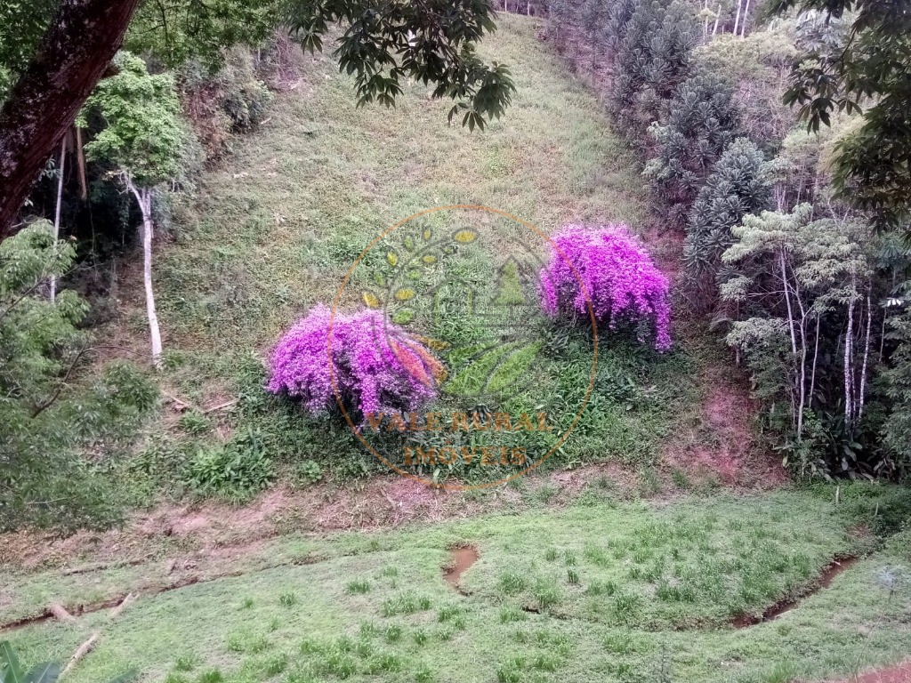 Chácara, 3 quartos - Foto 15