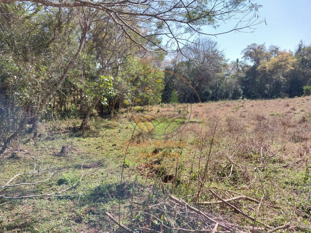 Fazenda - Foto 10