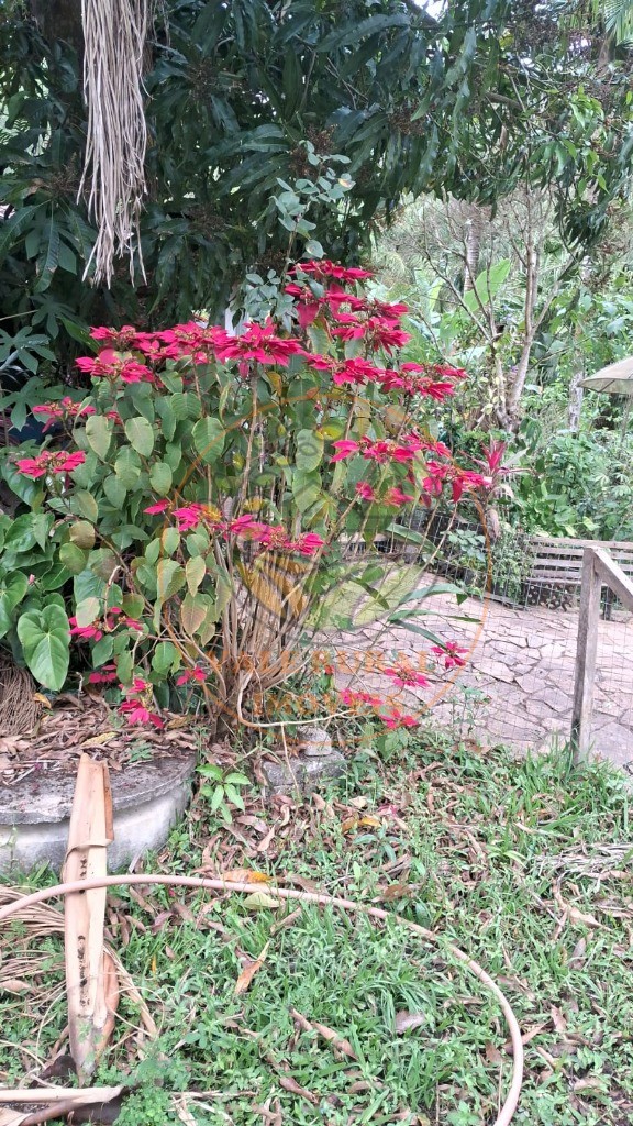 Chácara, 2 quartos - Foto 6
