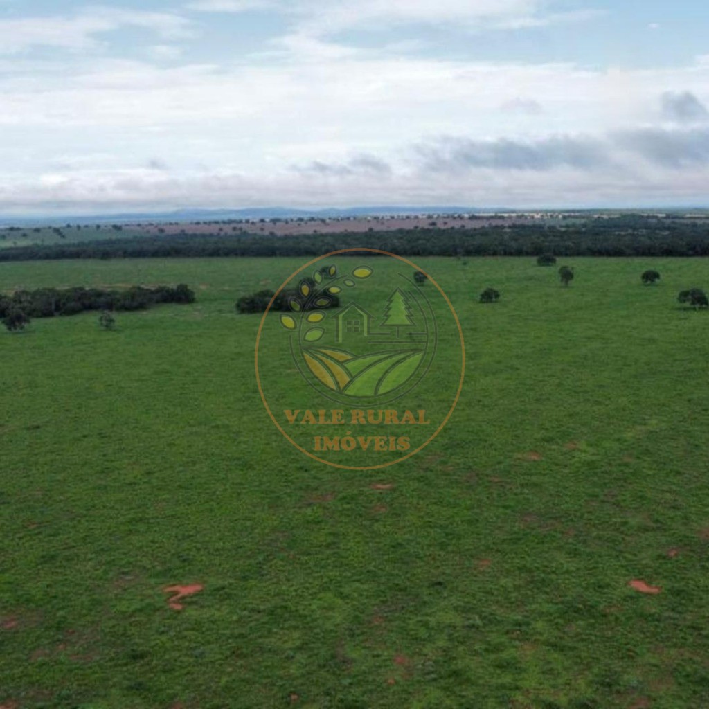 Fazenda, 2 quartos - Foto 5