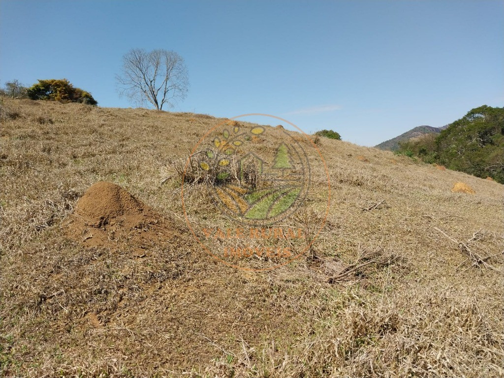 Fazenda - Foto 17