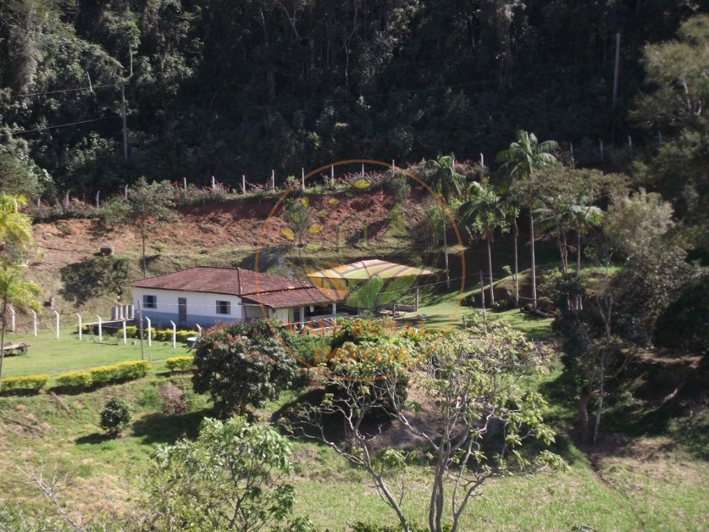 Chácara, 3 quartos - Foto 3
